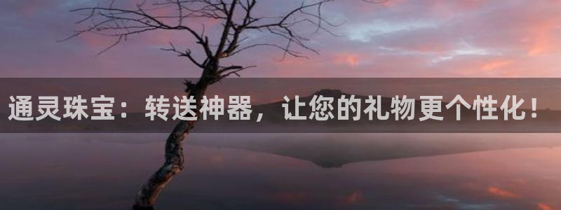 内蒙古众腾娱乐文化法人