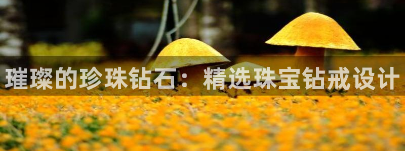 众腾娱乐文化怎么样