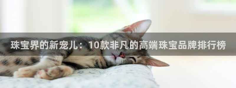 众腾娱乐平台官网入口