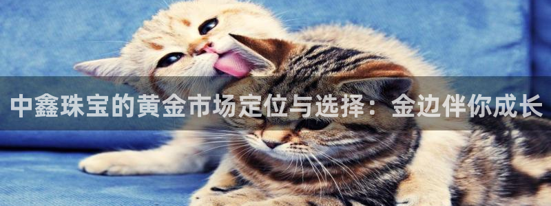 众腾娱乐注册