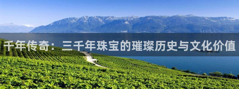 众腾娱乐注册