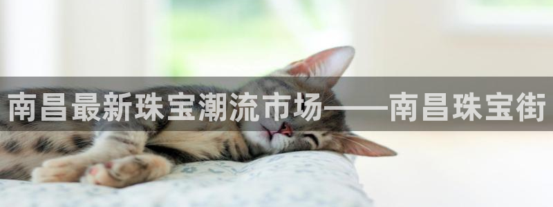 腾众娱乐是个啥