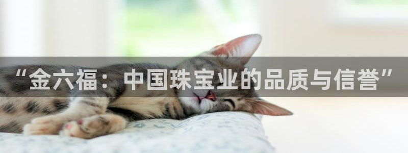 内蒙古众腾娱乐文化法人