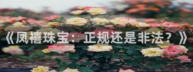 众腾娱乐扣款是正规的吗：《凤禧珠宝：正规还是非法？》