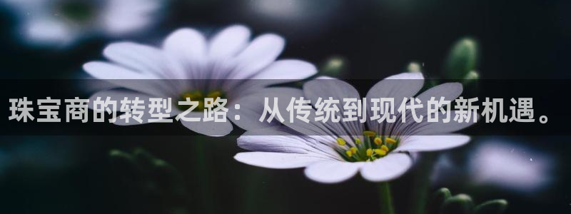 众腾娱乐注册：珠宝商的转型之路：从传统到现代的新机遇。