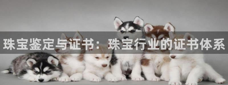 众腾娱乐邵阳