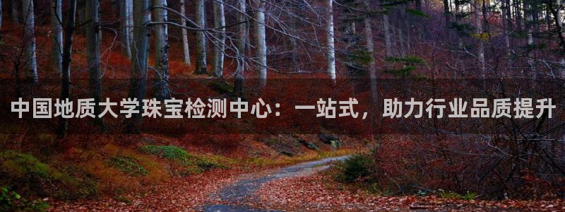 包头众腾娱乐密室逃脱：中国地质大学珠宝检测中心：一站式，助力