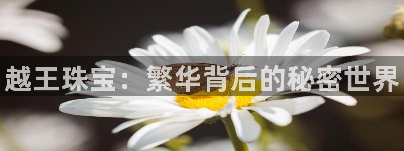 众腾娱乐梦幻演艺店