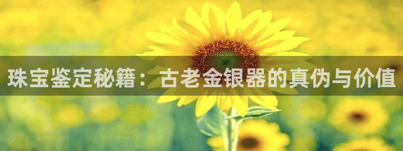 楚雄众腾娱乐在哪里：珠宝鉴定秘籍：古老金银器的真伪与价值