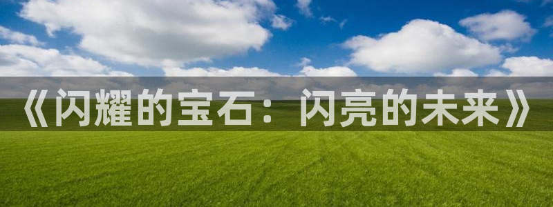 众腾娱乐总代理：《闪耀的宝石：闪亮的未来》