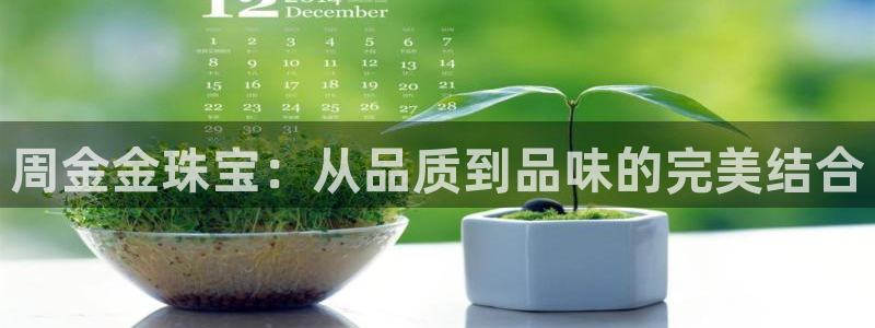 腾众娱乐是个啥：周金金珠宝：从品质到品味的完美结合
