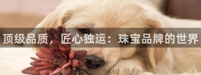 腾众娱乐是个啥：顶级品质，匠心独运：珠宝品牌的世界